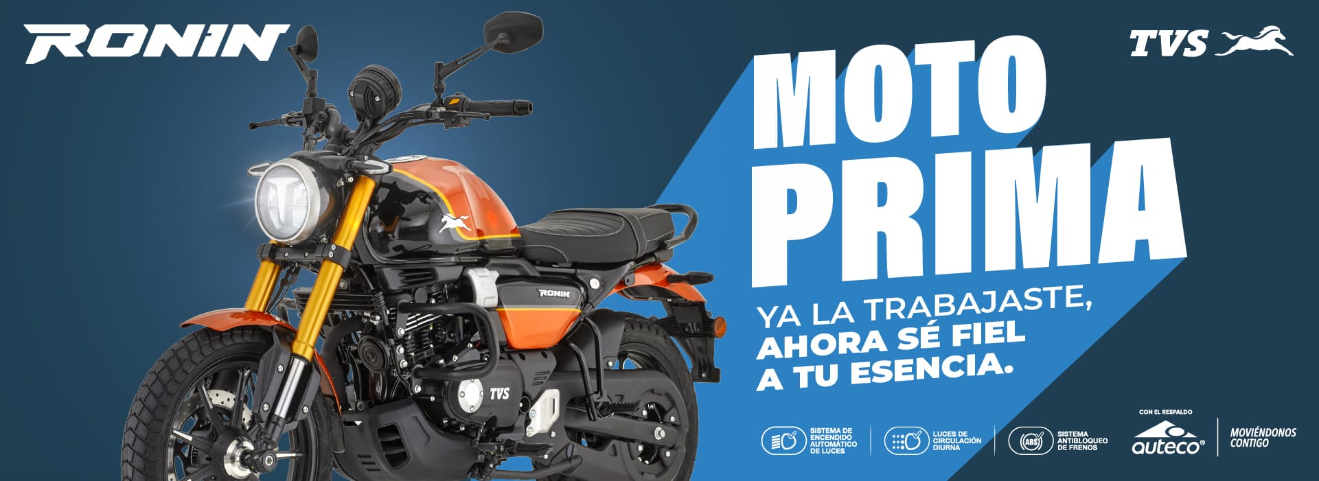Banner principal TVS